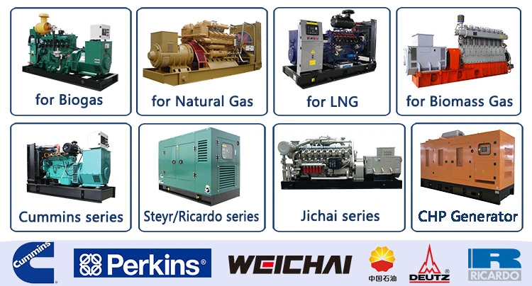 Renewable Energy Gas Generator CHP Unit for Biogas Plant