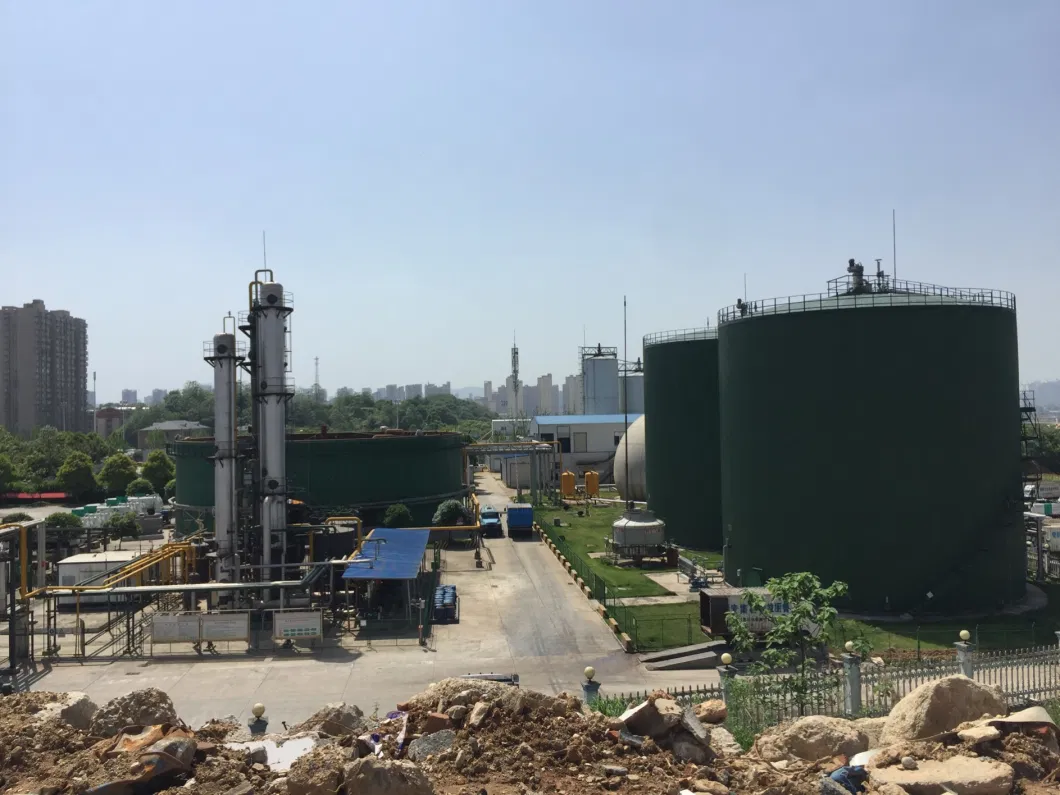 Biogas-Nature Gas Conversion Plant Upgrading/Decarburization/Purification System