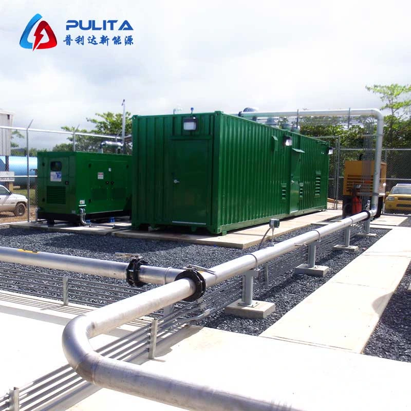 Renewable Energy Gas Generator CHP Unit for Biogas Plant