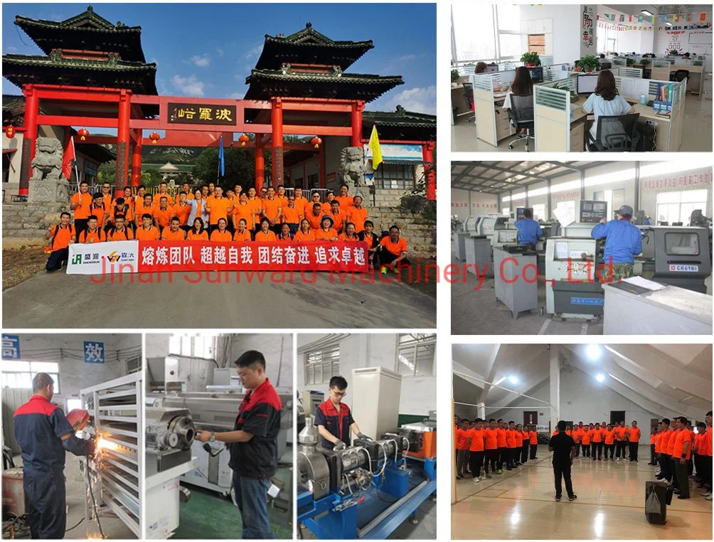 Multifunctional Automatic Breadcrumbs Machine Equipment Plant