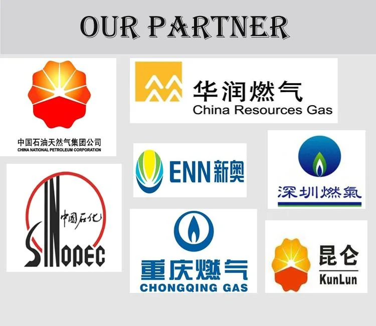 Natural Gas Filling Station Skid with Regulating and Metering