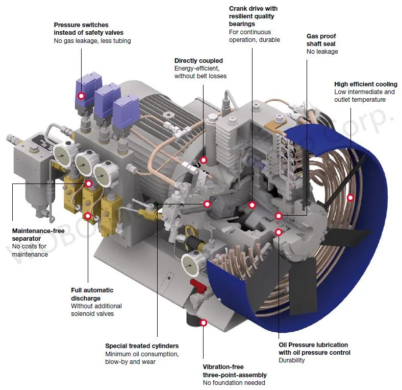 Best Choice Energy-Efficient Oil&Gas Pressure Booster for Flare Gas Recovery