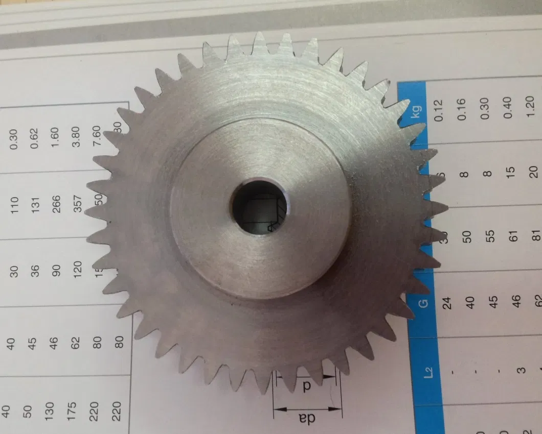 Worm Gear Steel Stainless Steel Worm Gear