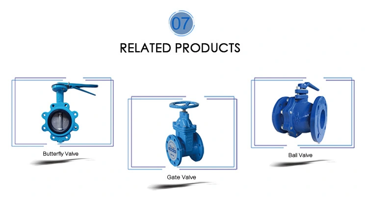 Dinf4 BS5163 Ordinary Pressure Bohai in Polywood Case Gas Industrial Valve