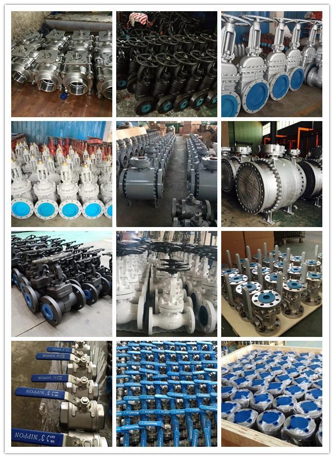 API 6D Fire Safety Nace Mr 0175 Full Port/Reduce Port Oil Gas GB/ANSI Wcb/CF8/CF8m Worm Gear Operated Flange Floating Pneumatic/Electric Forged Ball Valves