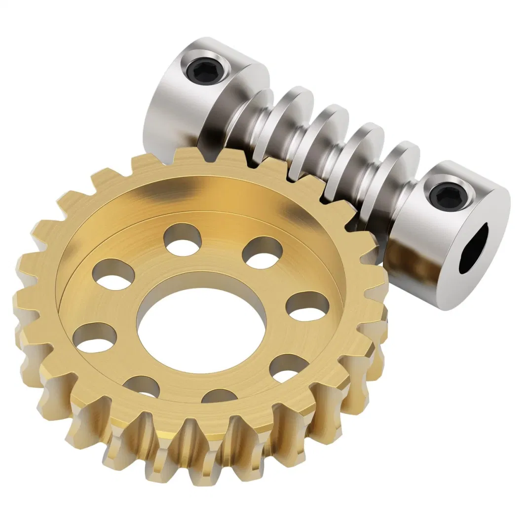 Stainless Steel Worm Drive Gear and Brass Transmission Spur Gear