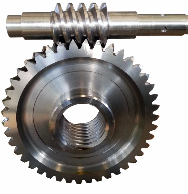 Stainless Steel Worm Drive Gear and Brass Transmission Spur Gear