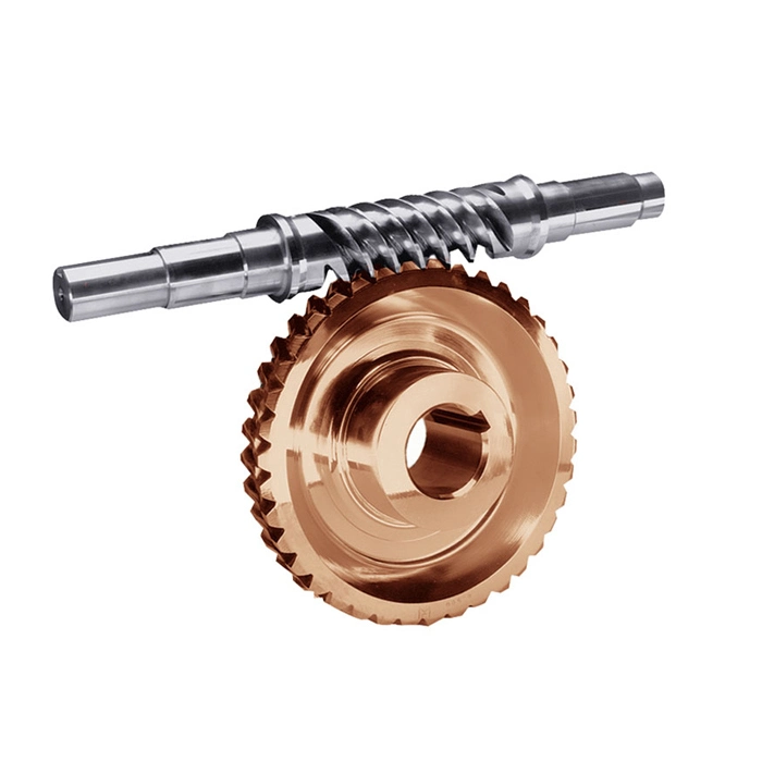 Stainless Steel Worm Drive Gear and Brass Transmission Spur Gear