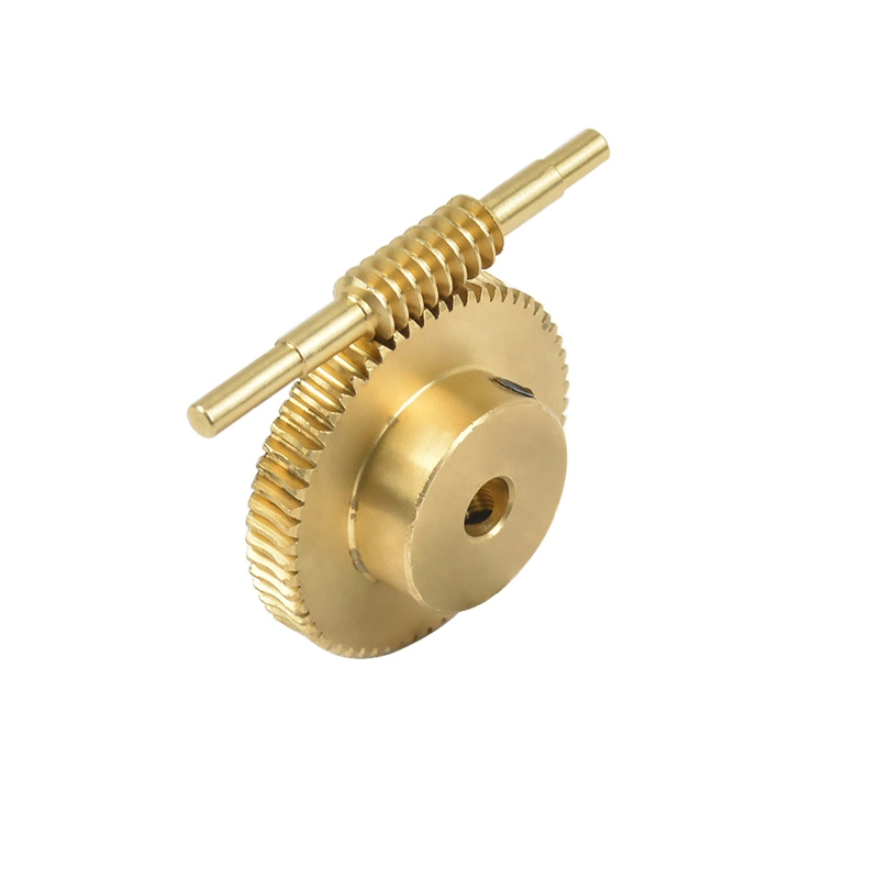 Stainless Steel Worm Drive Gear and Brass Transmission Spur Gear