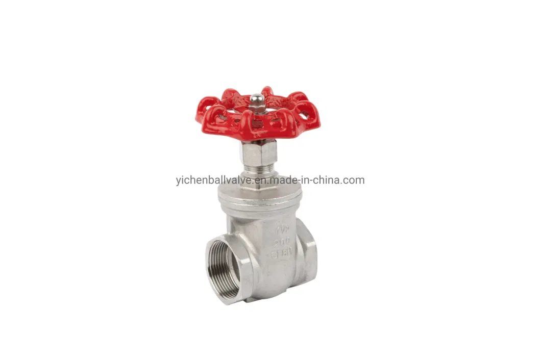 Stainless Steel Internal Thread Stop Valve Handwheel Gate Water Pipe Pump Check Valve