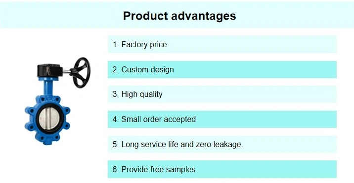 Zhv Lugged EPDM Seated Marine Valve Lug Type Electric Actuated Stainless Steel Wafer Butterfly Valve