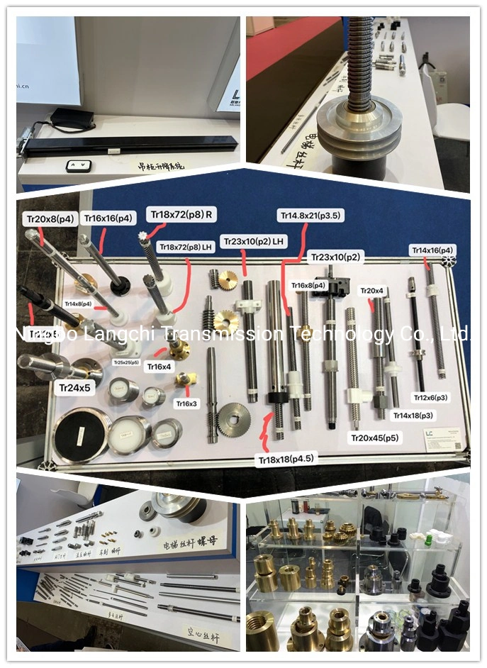 High Precision Transmission Parts Internal Thread Worm Gear Tr20X4