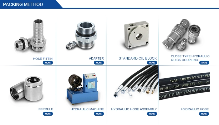 Bsp Pressure Gauge Connector with Dki Sealing Ring (P5CB/5DB-GDK)