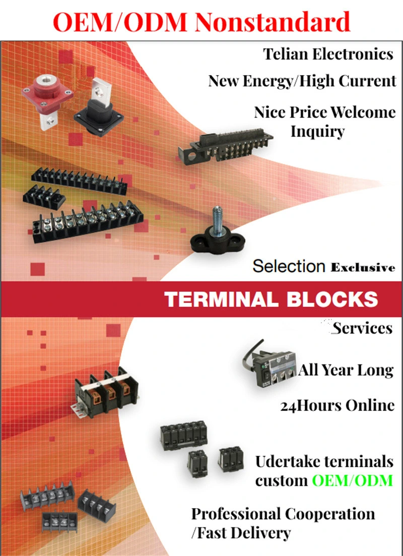 High Current Barrier Modular Terminal Blocks Screw Feed Through Terminal Power 100A