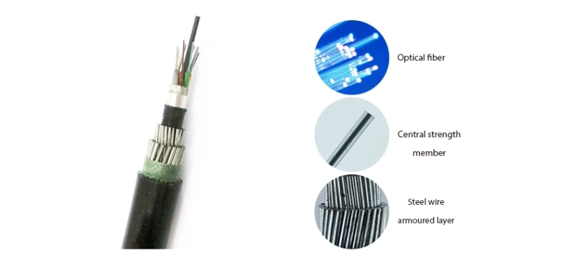 G652D G657A Optic Fiber Cable for GYFTY 96