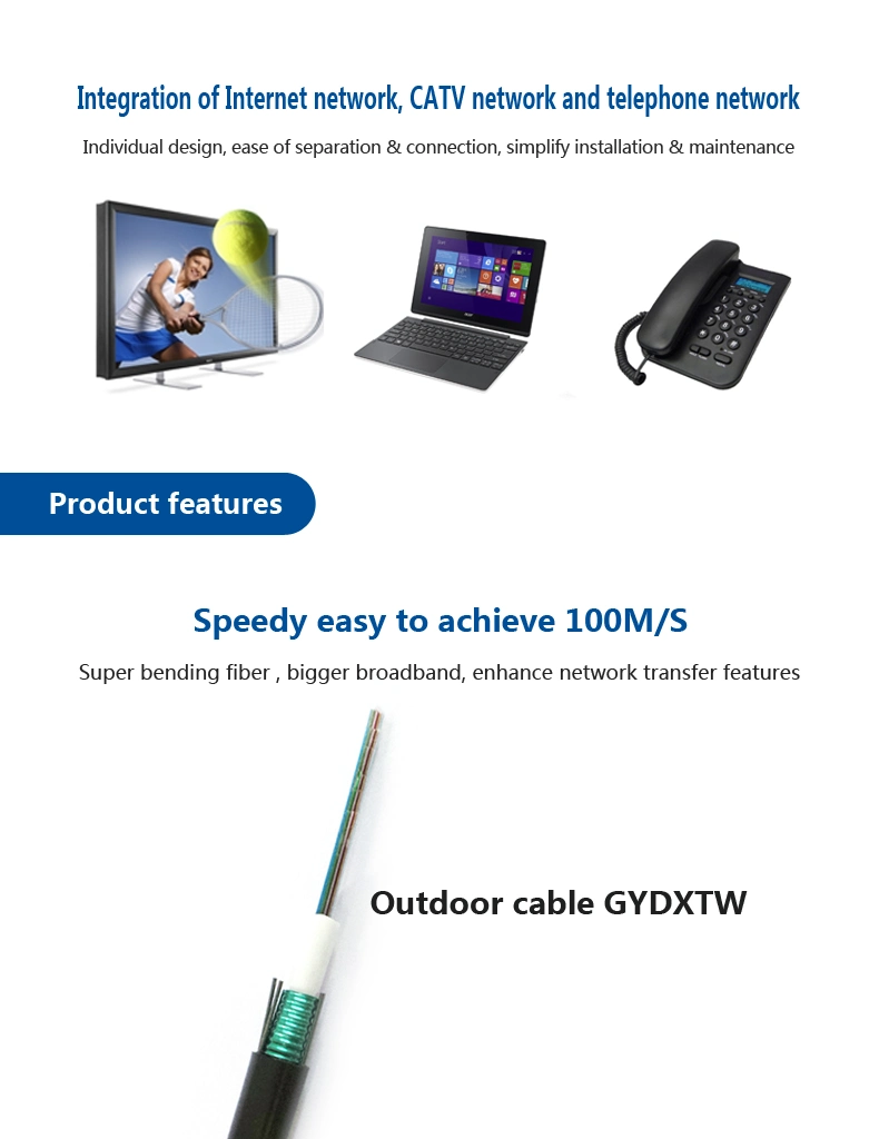 204 Core Fiber Ribbon Cable for Aerial Network Gydxtw