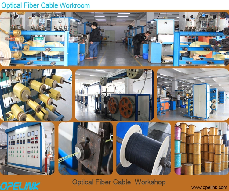 Factory Breakout Optical Fiber Cable 24 Cores Singlemode Indoor Cabling Fiber Optic Cable, for Direct Splicing to Connector and Connecting to Equipment