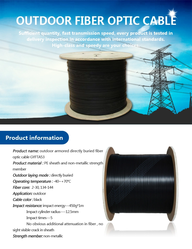 High-Class G652D Fiber Optic Cable of Armored Type