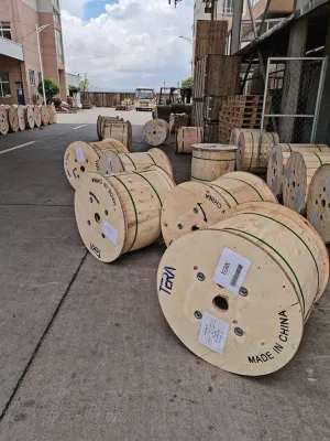 Cable de fibra óptica FTTH FTTB FTTX para puerto de red