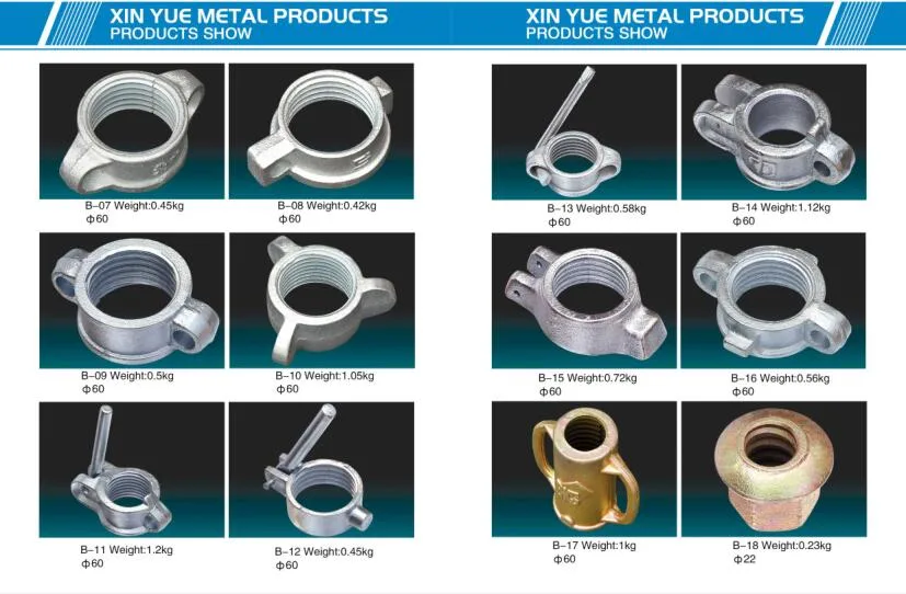 Ringlock Scaffolding Legder/Formwork Clamp/Post Anchor Accessories Panel Lock Rapid Clamp