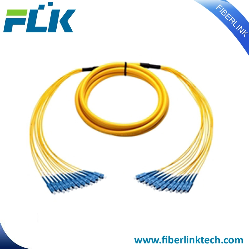 Multi-Cores 12 Cores Distribution Breakout Fiber Optical Patch Cord