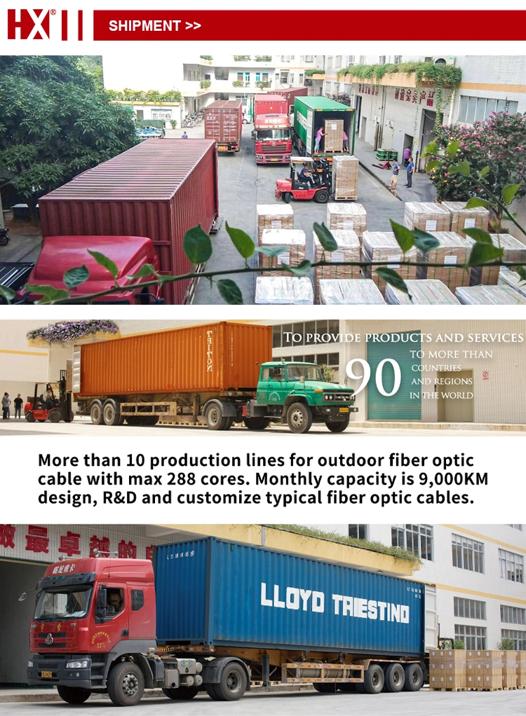 Fiber Optic Sc/Upc mm Duplex with Blue Connector Patch Cord Cable