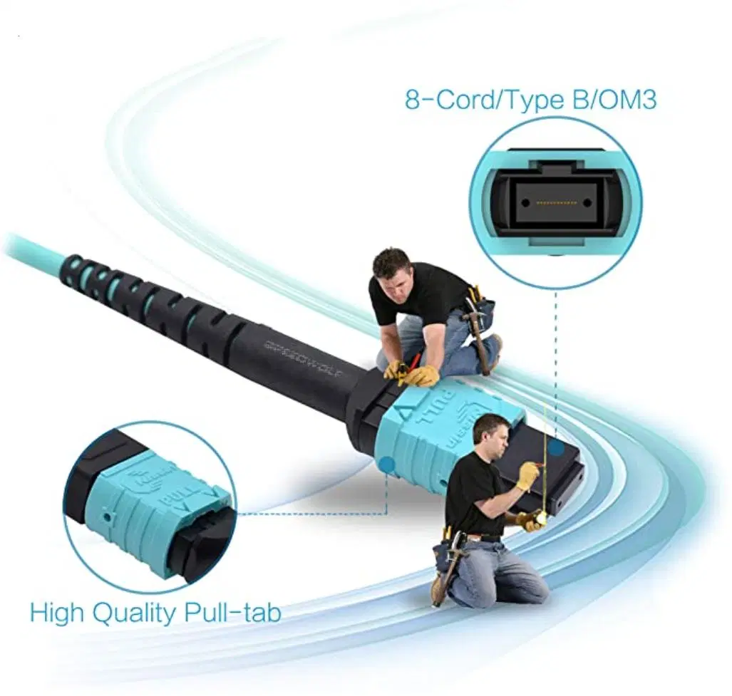 Fiber Optic Sc/LC/FC/St/Mu/MTRJ 8/12 Fibers Optical Patch Cord