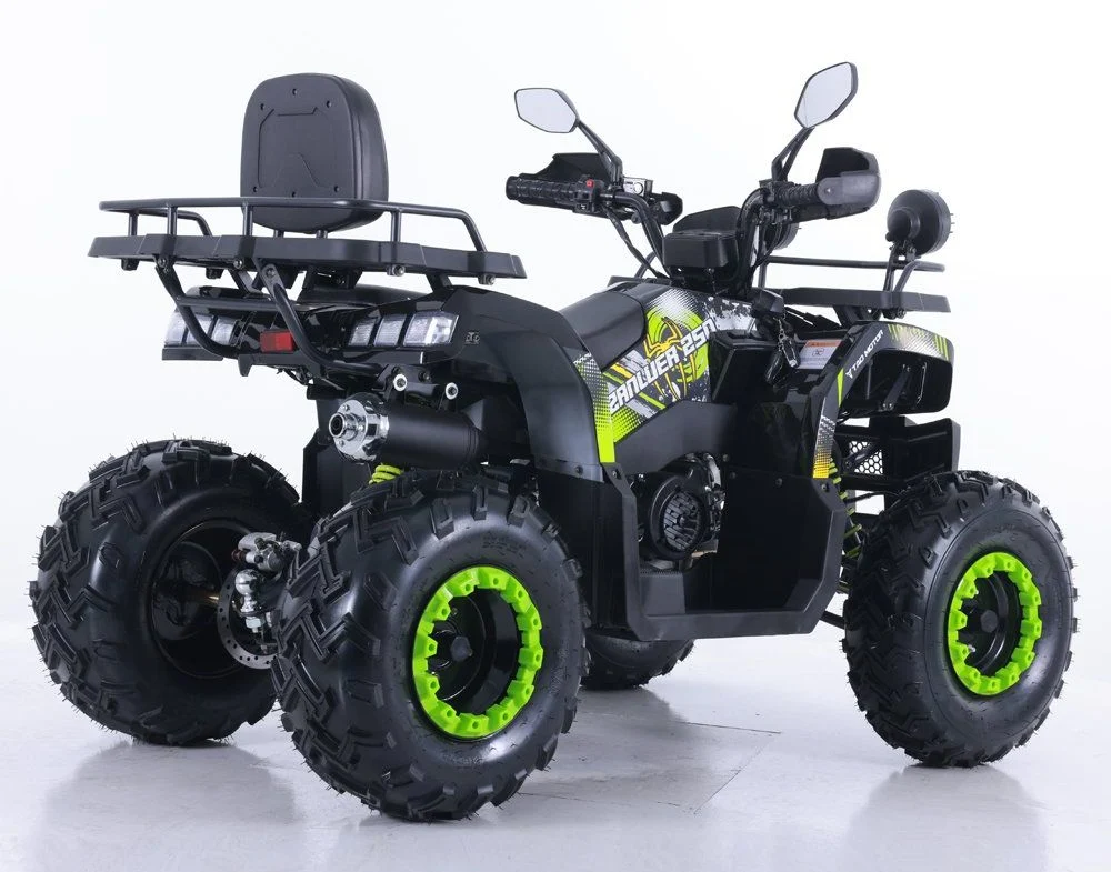 Tao Motor 2024 Quad Bike Motorbike Automatic 150cc 200cc ATV for Adults