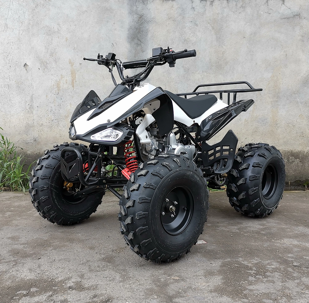 110cc 125cc 4 Wheeler Gas Quadricycle Quad ATV Bike