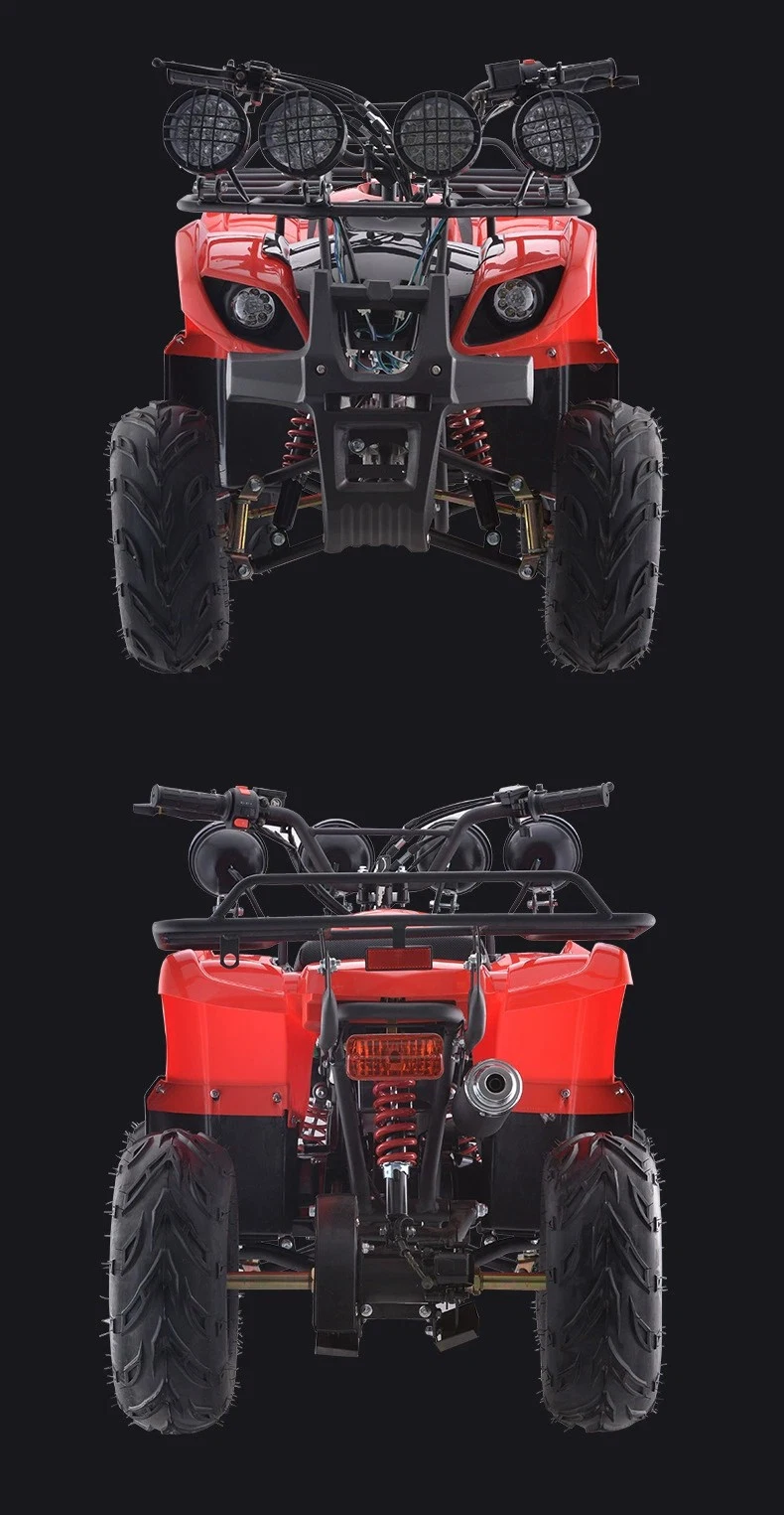 250cc 2 Stroke 800W 80cc Clothing Farmer Gas Powered Gun Rack Hub Motor Mini Petrol Quad for Sale Storage Tire 20X10 10 ATV