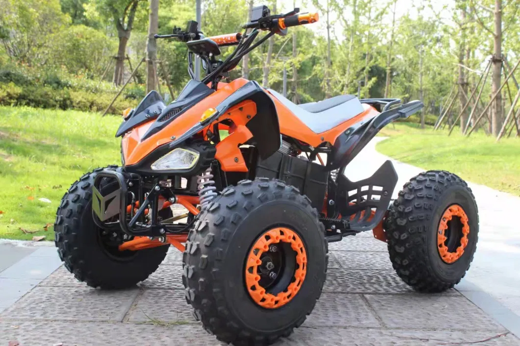 60V 72V 1500W 2200W 3000W 80km/H Electric ATV with Intelligent Controller &amp; E-Bluetooth