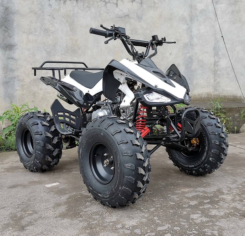 110cc 125cc 4 Wheeler Gas Quadricycle Quad ATV Bike