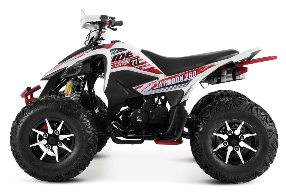 Tao Motor 2024 Latest Design 250cc Quad Bike Sport ATV