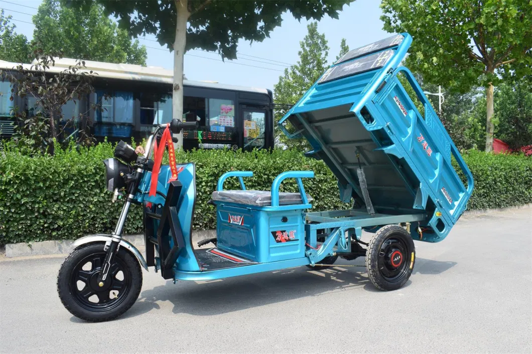 Electric Tricycle Electric Three Wheeler with Large Capacity Cargo Box