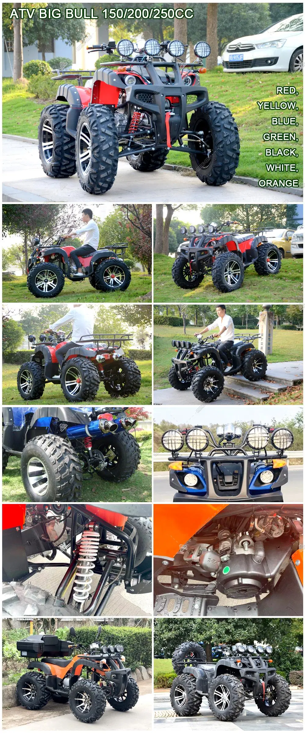 Quad Karting 200cc 250cc &kcy; &vcy; &acy; &dcy; &rcy; &ocy; &tscy; &icy; &kcy; &lcy; Children&prime;s Adults High Performance Hill Climbing Atvs