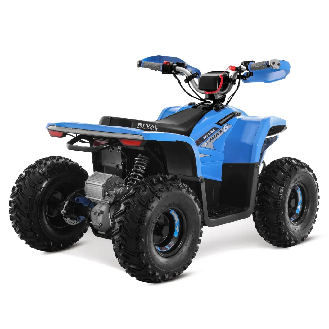 48V 1600W 4 Wheeler Quad Bike Electric ATV for Kids