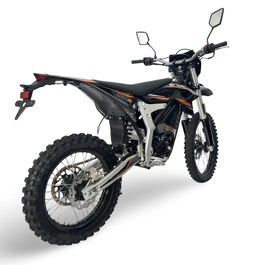 Adult Electric Motorcycle 12000W off Road Electric Motorbike Vehicle