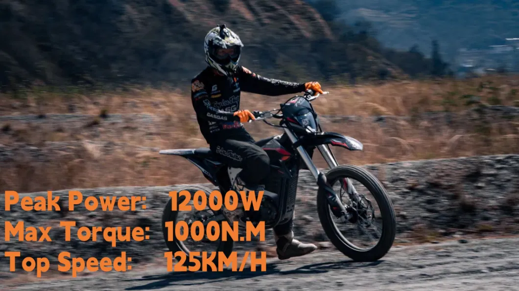 Adult Electric Motorcycle 12000W off Road Electric Motorbike Vehicle