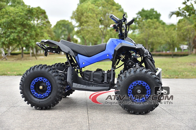 36V 48V 60V 500W 600W 800W 1000W Motor Kids Electric ATV EEC Quad 2 Seat ATV/Electric Drive