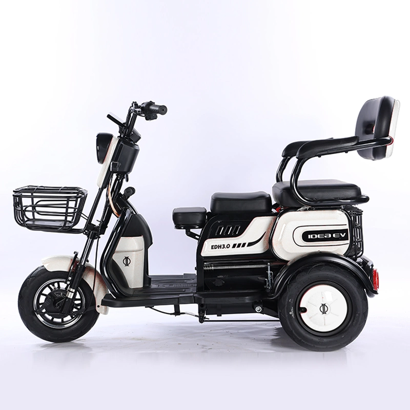 Cheap Manufacture Electric Bike Three Wheeler with 27h 700W Motor