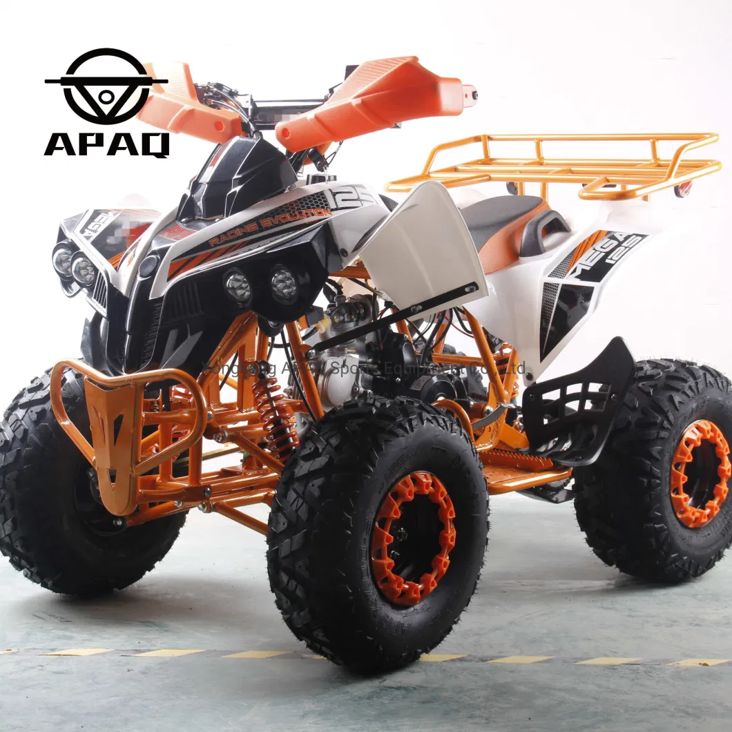 4 Wheel 125cc Quad Bike Cycle 110cc ATV for Sale