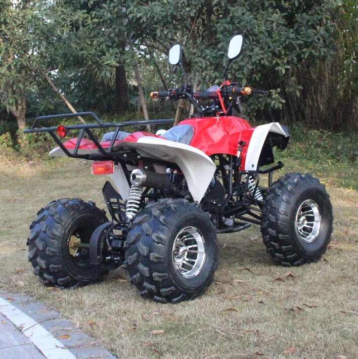 2022 New Style Sport Model 125cc Full Auto ATV