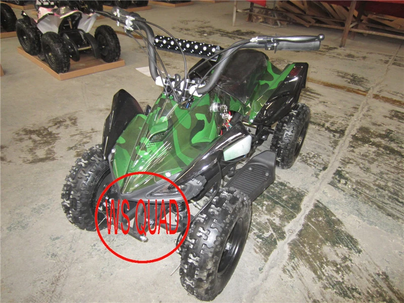 Hot Selling 800W Electric Mini Electric ATV Quad Et-Eatv-049