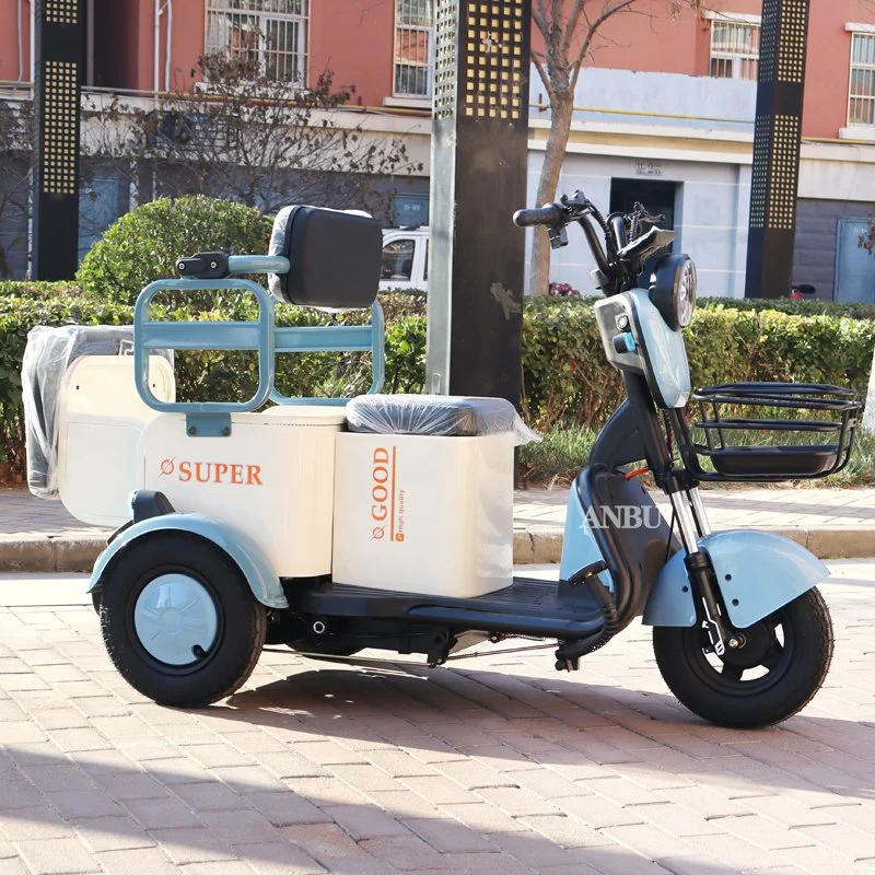 Three-Wheeler 800W for Family Adult Electric Tricycle