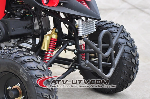 4 Wheels Motorcycle 110cc 125cc 150cc 200cc Dune Buggy ATV 250cc Quads