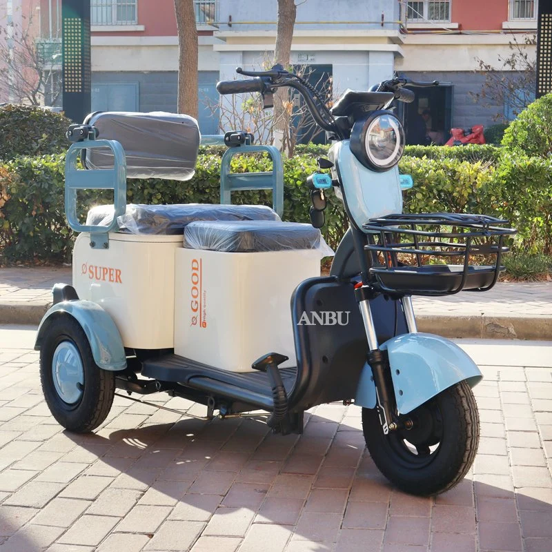 Three-Wheeler 800W for Family Adult Electric Tricycle