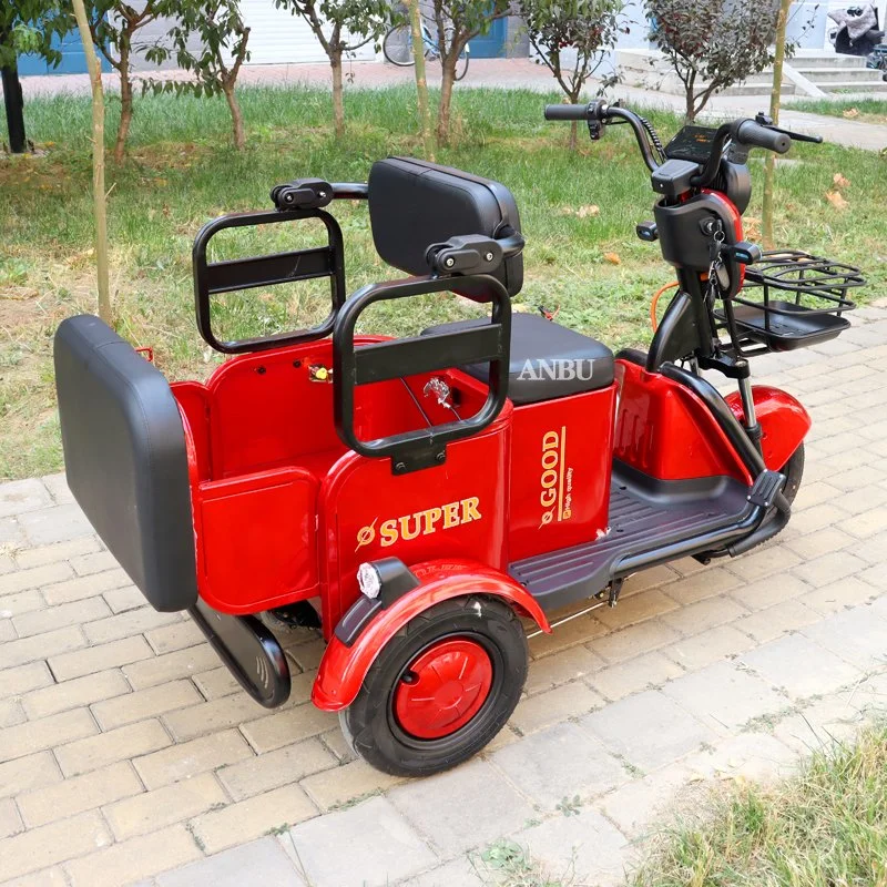 Three-Wheeler 800W for Family Adult Electric Tricycle