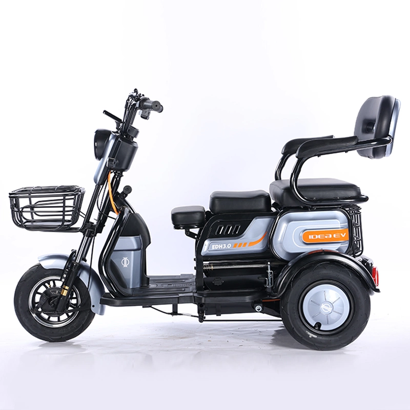 Cheap Manufacture Electric Bike Three Wheeler with 27h 700W Motor