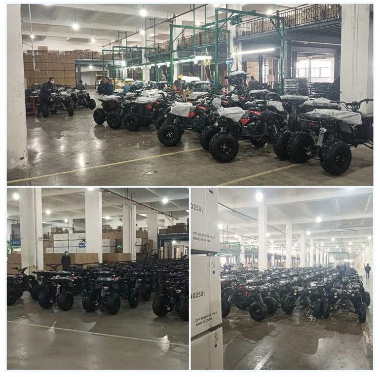 Hot Selling 400cc 500cc 800cc Model Gasoline ATV for Adult 4X4 ATV