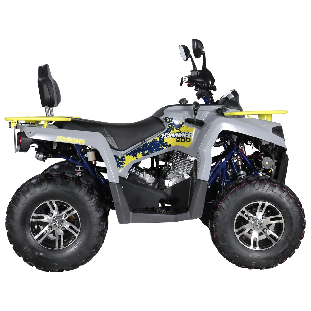 2000cc All-Terrain Vehicle with 4-Wheel Drive for Adults